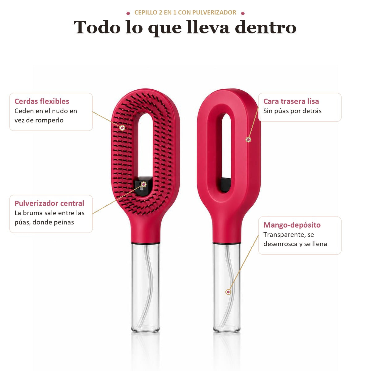Todo lo que lleva dentro